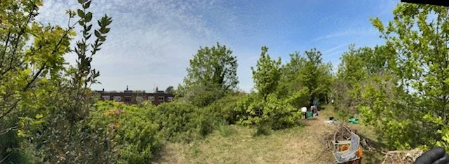 Panoramic photo, 27th April 2026