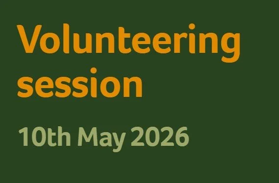 Volunteering session, 10th May 2026