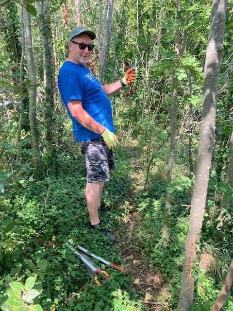 A volunteer managing the woodland