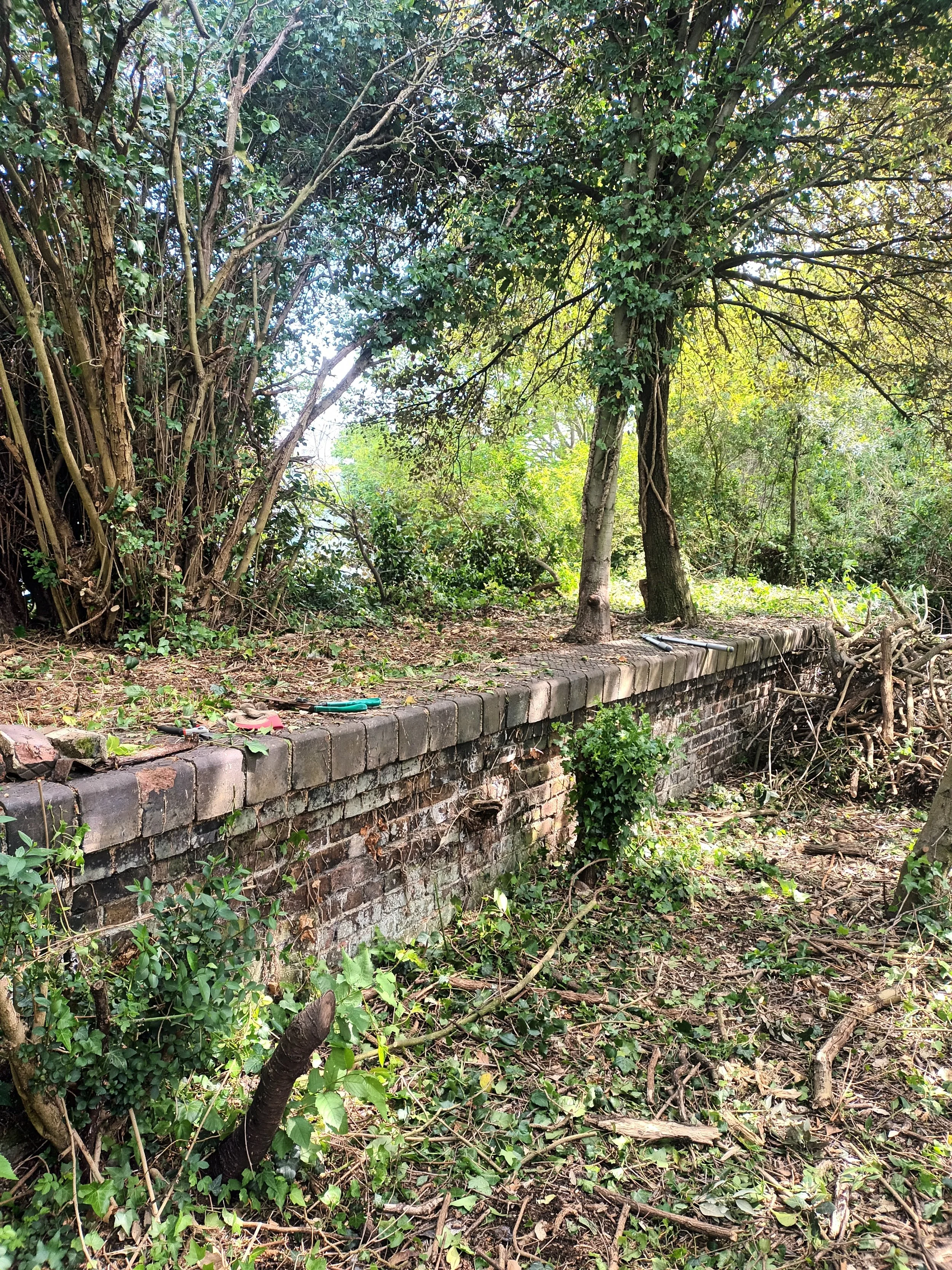 A brick ledge, which was once one of the train station's platforms in a natural outdoor setting with green foliage, trees, and plants, some tools are placed on the ledge.
