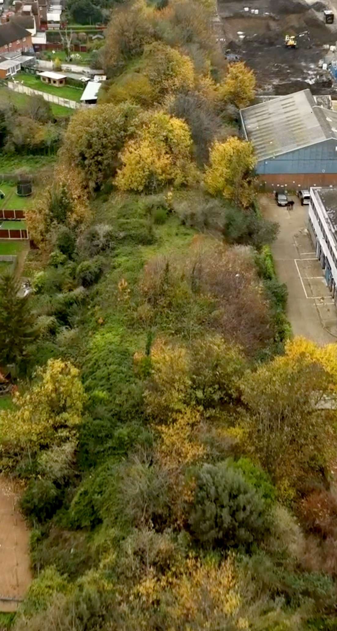 An aerial view of the Beeline site showing a large area of trees with autumn foliage.