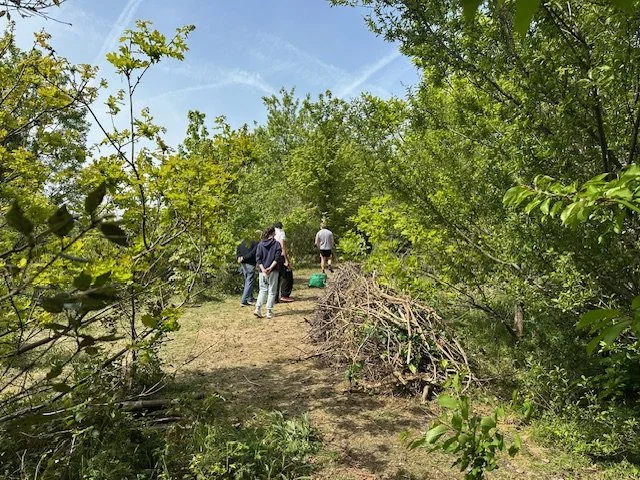 Walkway, 27th April 2026