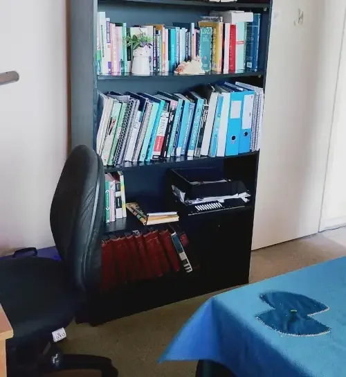 A bookcase in the meeting room.