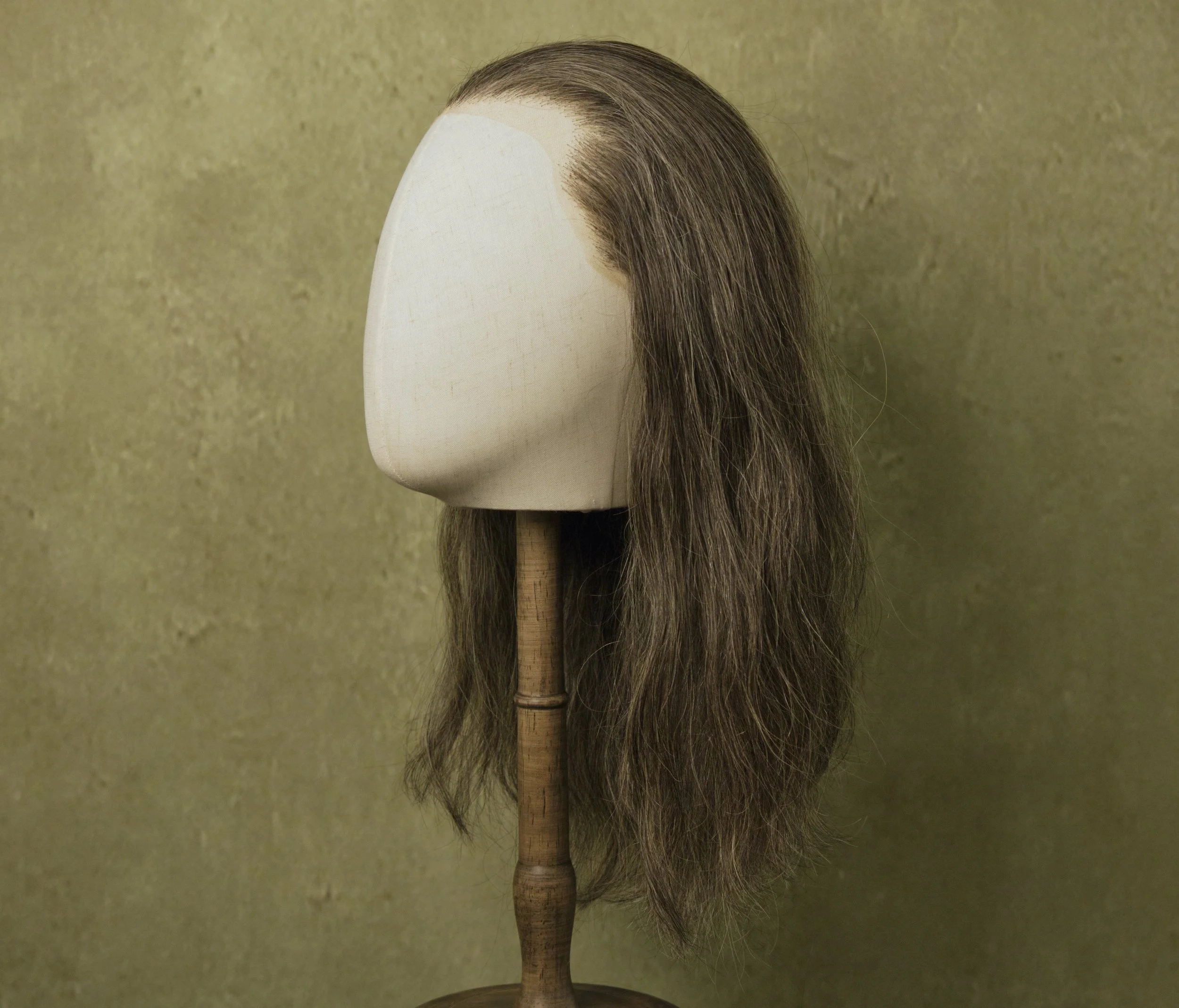 Human Hair Wigs
