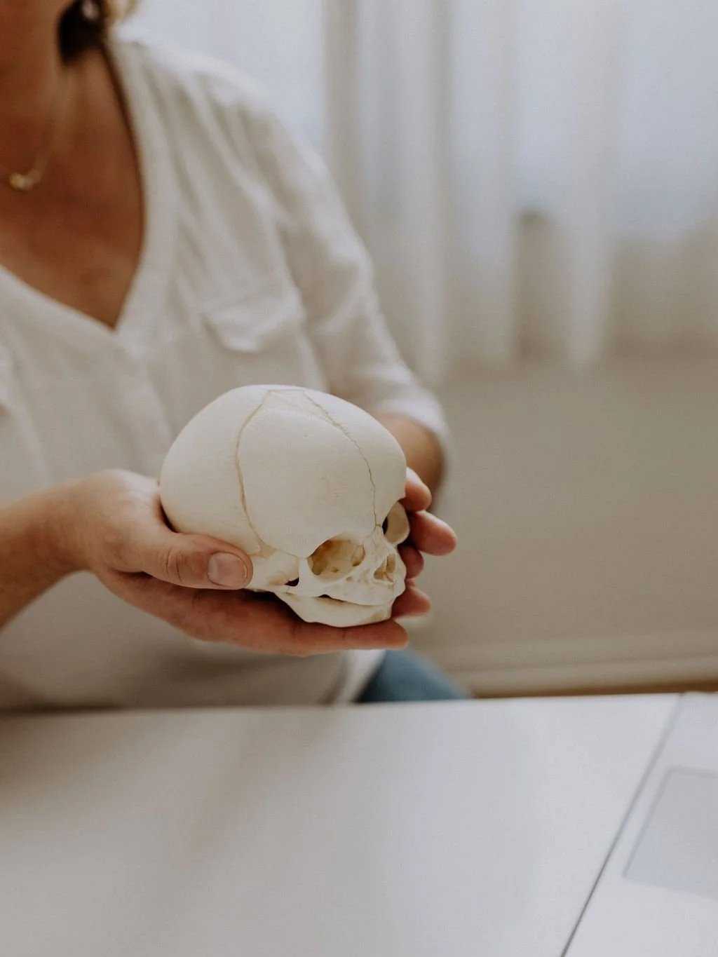 Frauke Köhlert erklärt an einem Säuglings-Schädelmodell die osteopatische Behandlung bei Babys.