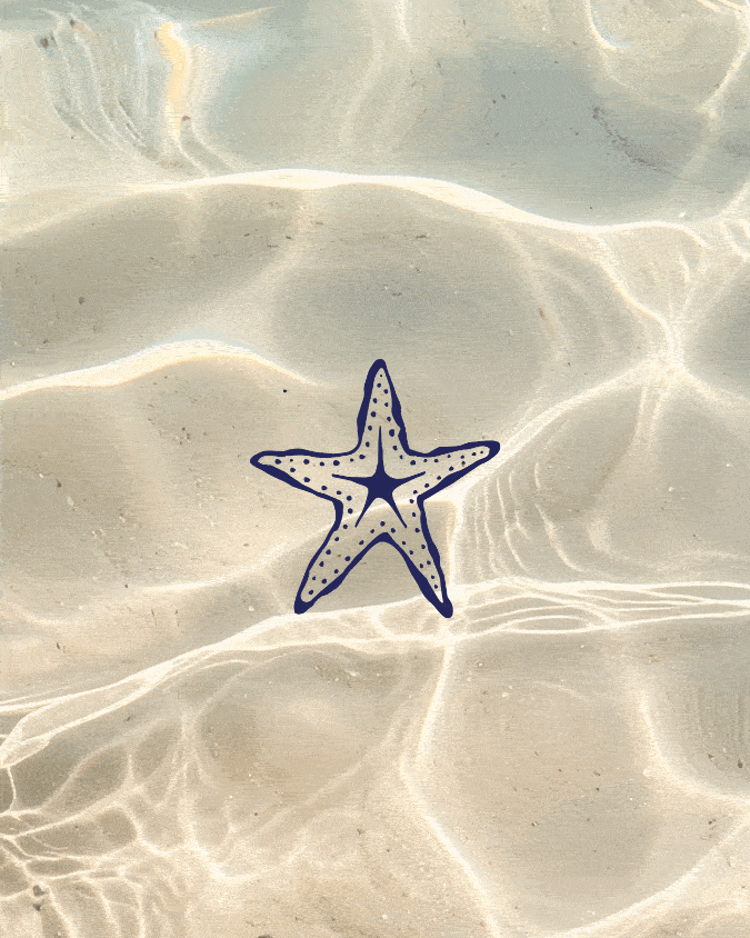Hand Drawn Illustrations.gif