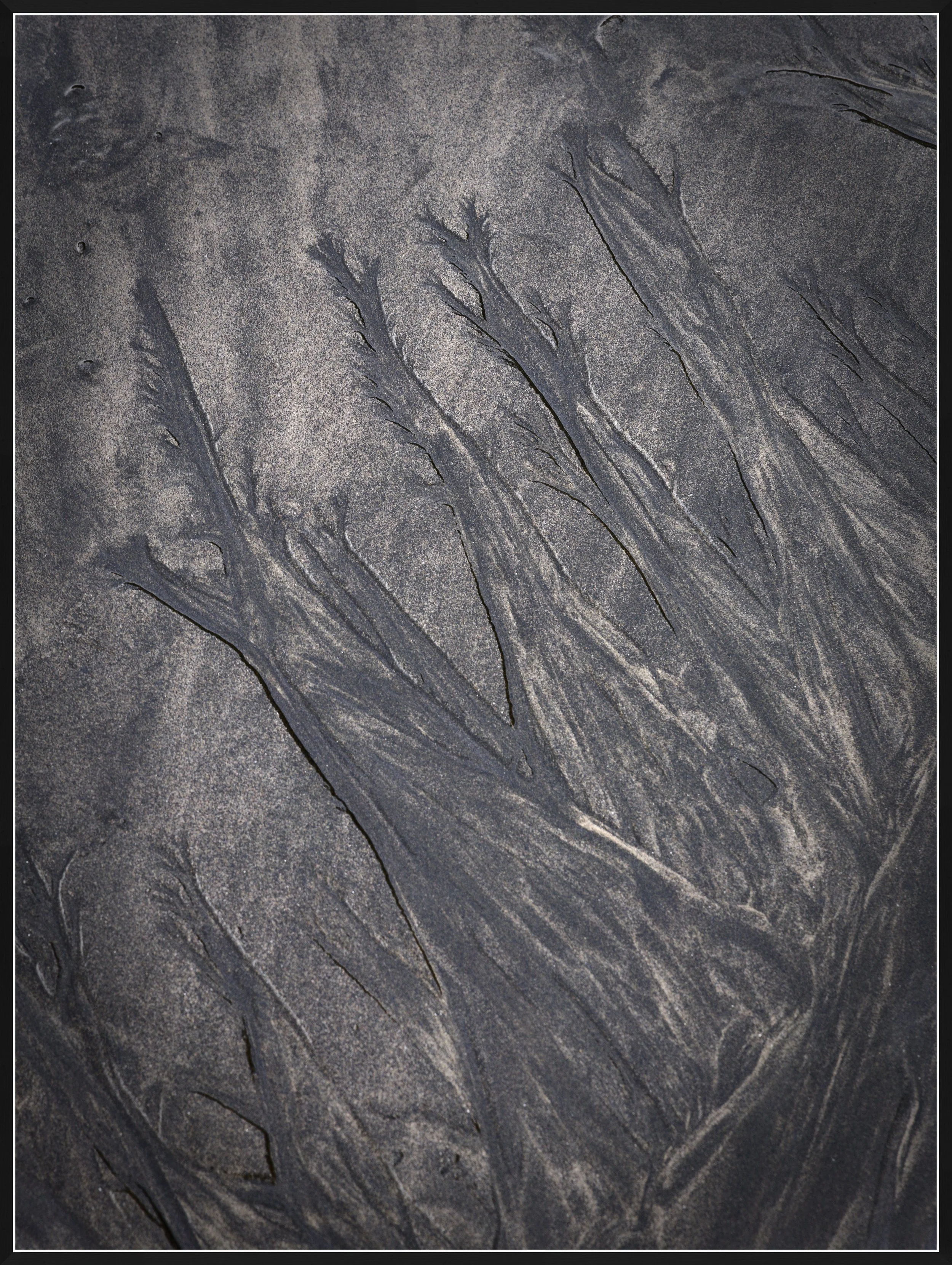 Patterns in the sand
