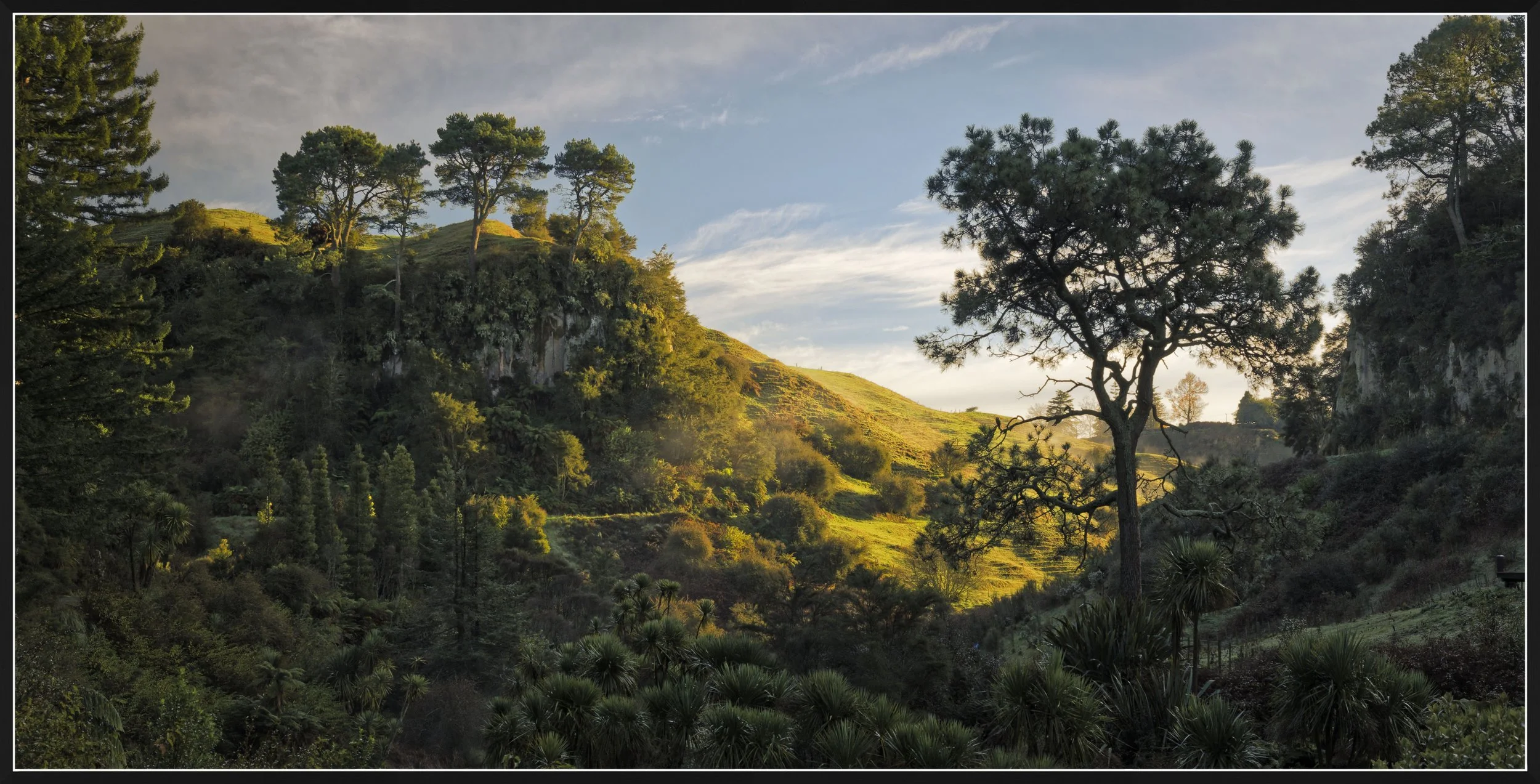 Sunrise over Putaruru Blue Spring