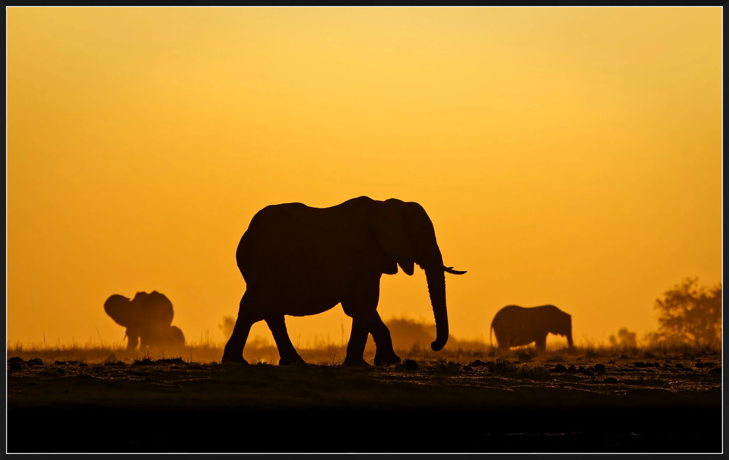 Sunset along Chobe River