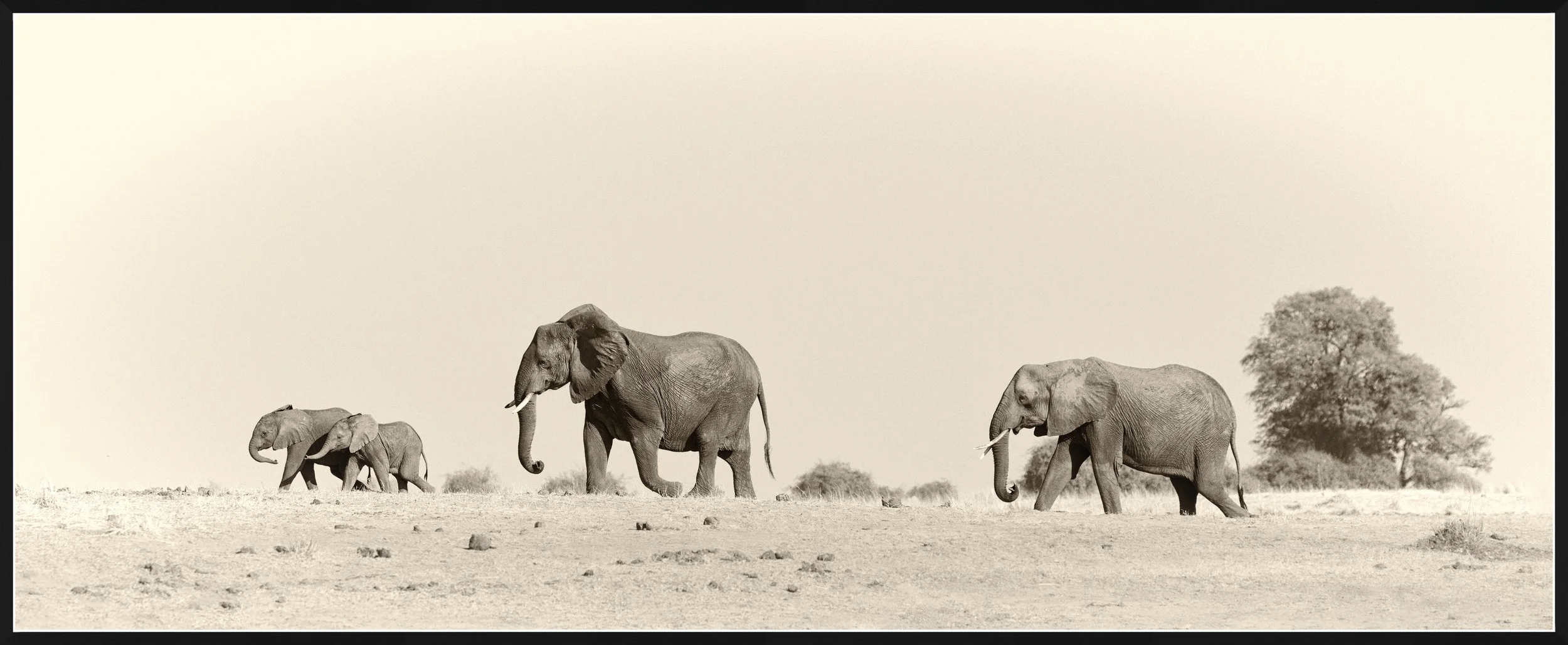 Family walk