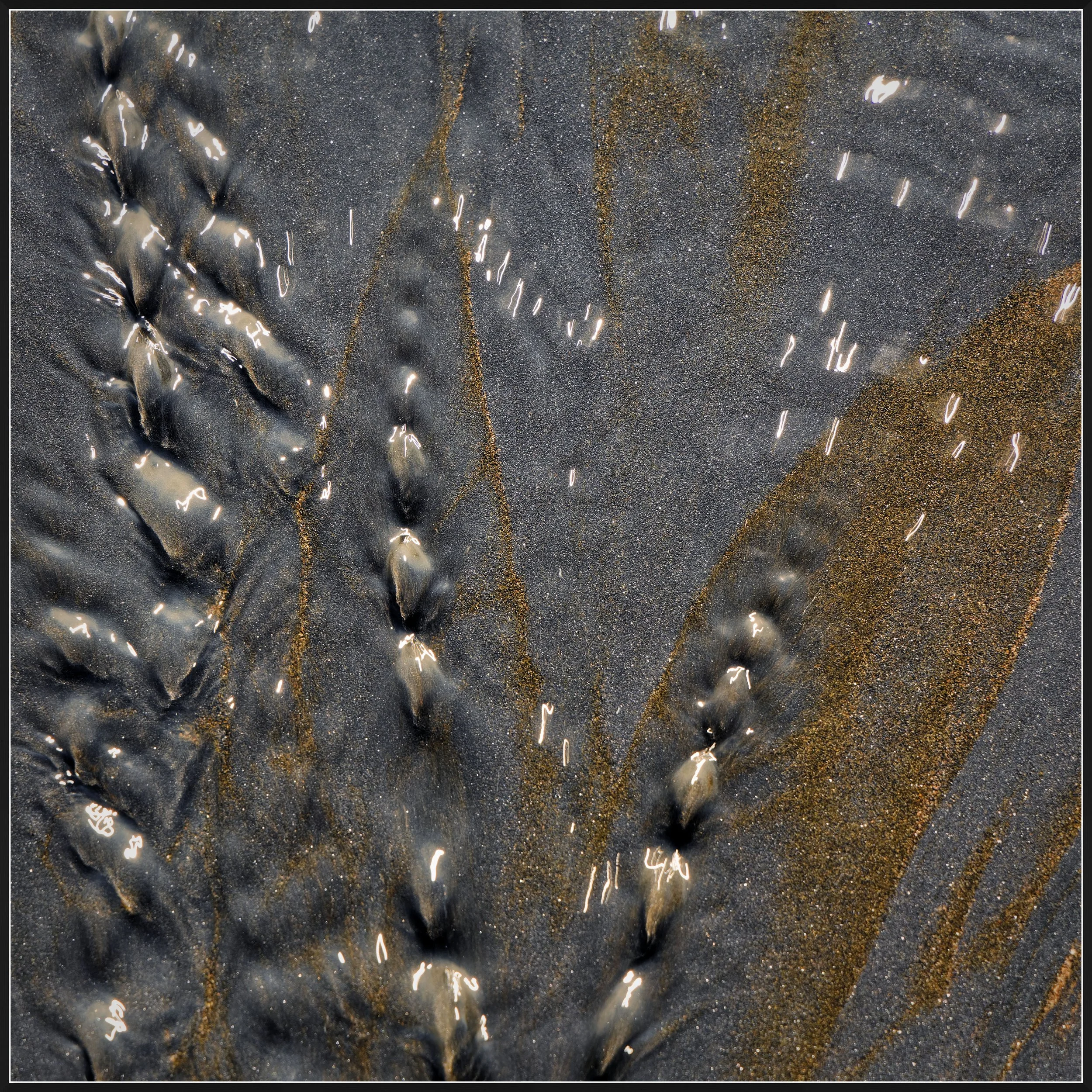 Beach Sand