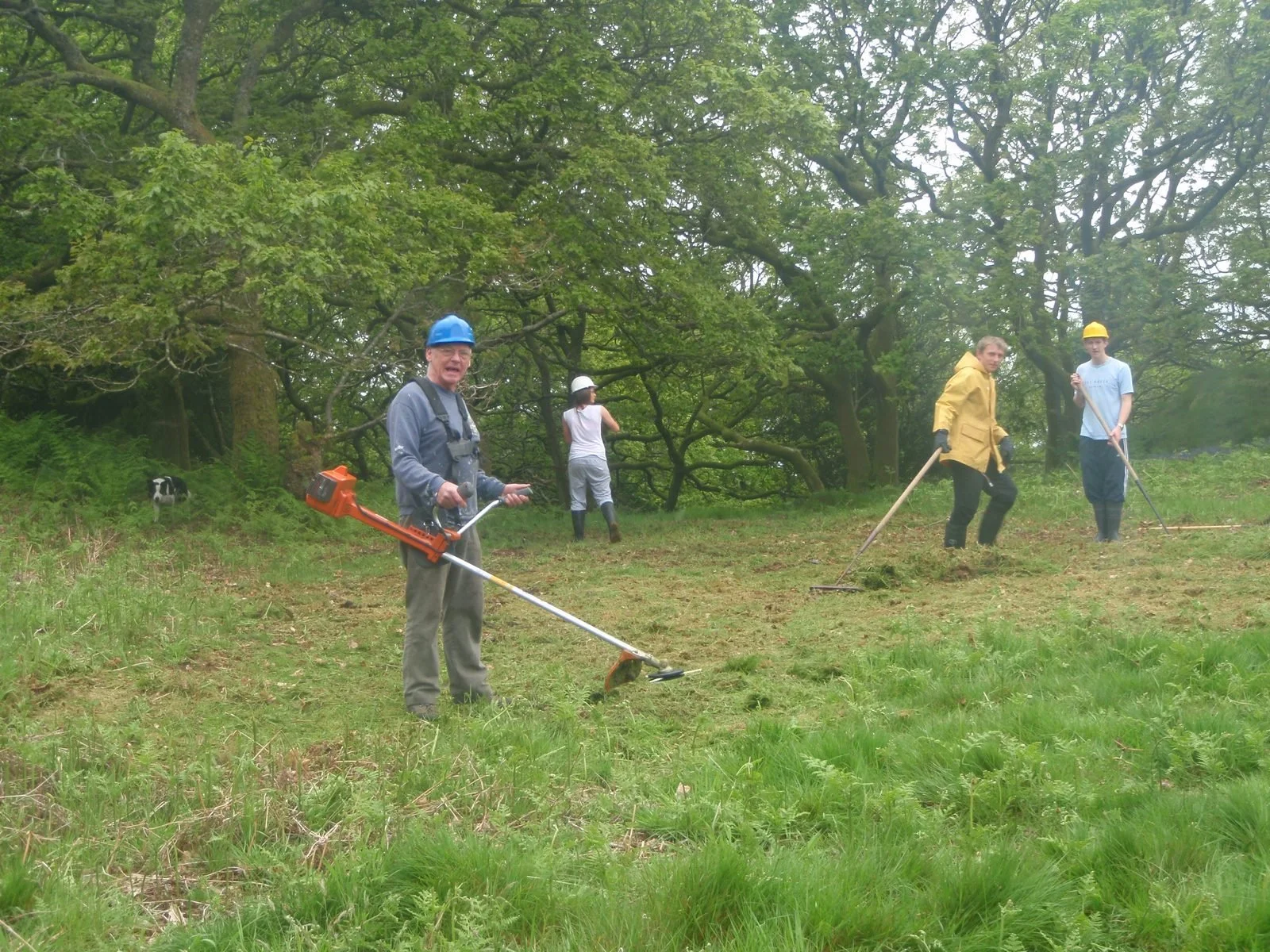 Four people in a grassy outdoor area with trees, using gardening or landscaping tools; one man facing the camera wears a blue helmet and holds a string trimmer.