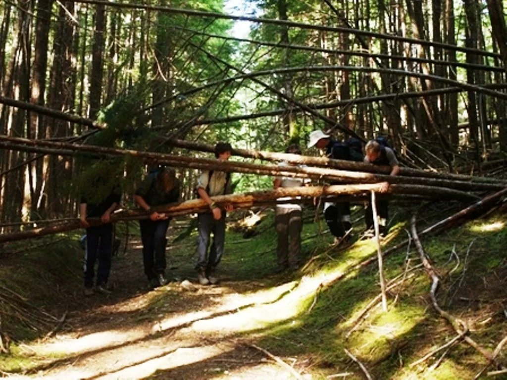 Five people are walking through a forest, holding a large fallen tree branch as it blocks their path. The forest is dense with tall trees and green foliage.