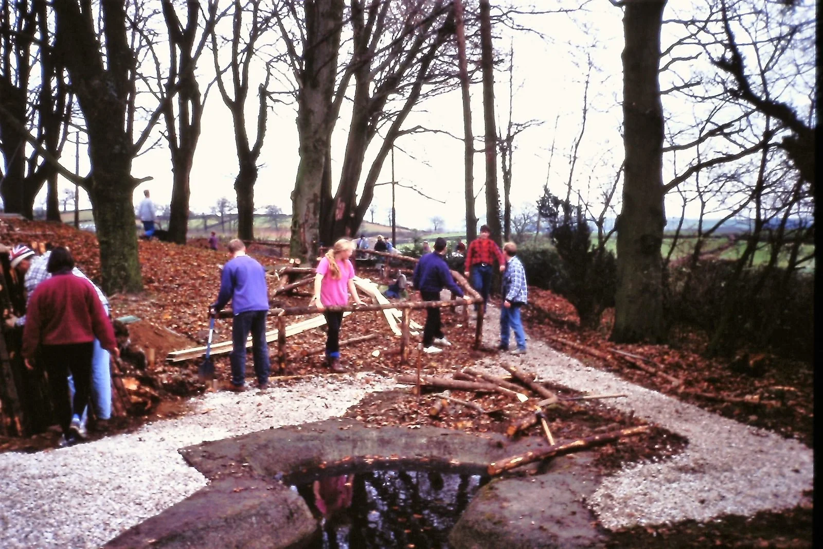 People building a trail in a wooded area with leaves on the ground and trees around.