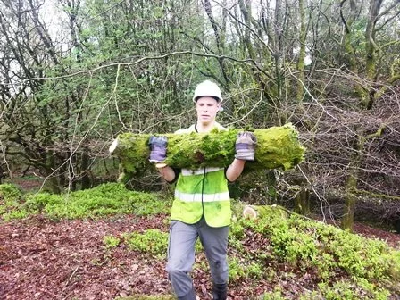 Person wearing a safety helmet and vest holding a moss-covered log in a forested area.