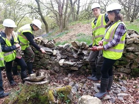 Group of five people wearing safety helmets and reflective vests studying an old stone wall outdoors in a wooded area.