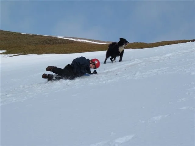 Child wearing a red helmet and black winter clothing lying on snow, reaching out with one hand, while a black and white dog stands nearby on snow in a mountainous area.
