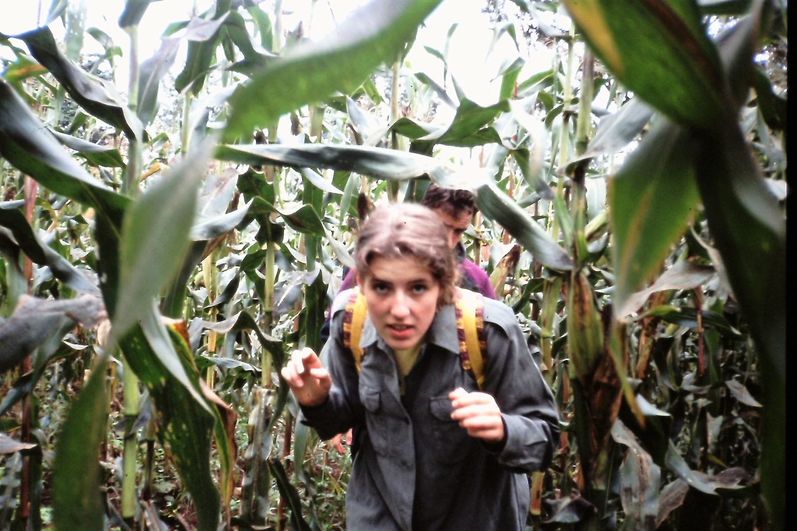 Two hikers, a young woman and a young man, walking through a dense cornfield.