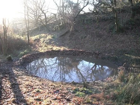 A small pond reflecting trees and the sky, surrounded by dirt and fallen leaves in a wooded area.