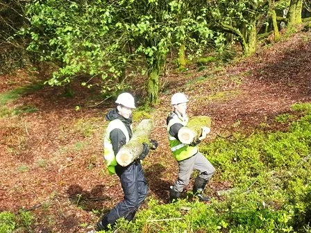 Two workers wearing helmets and reflective vests carrying logs near trees in a forested area.