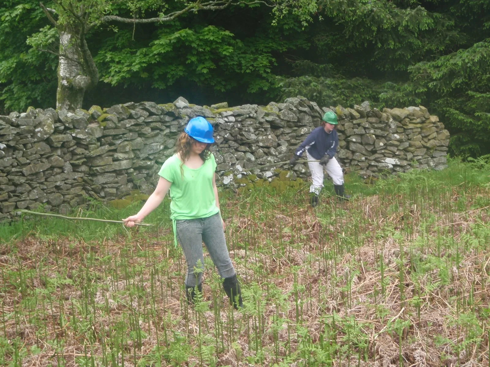 Two people wearing hard hats and working in a field in front of a stone wall and green trees.