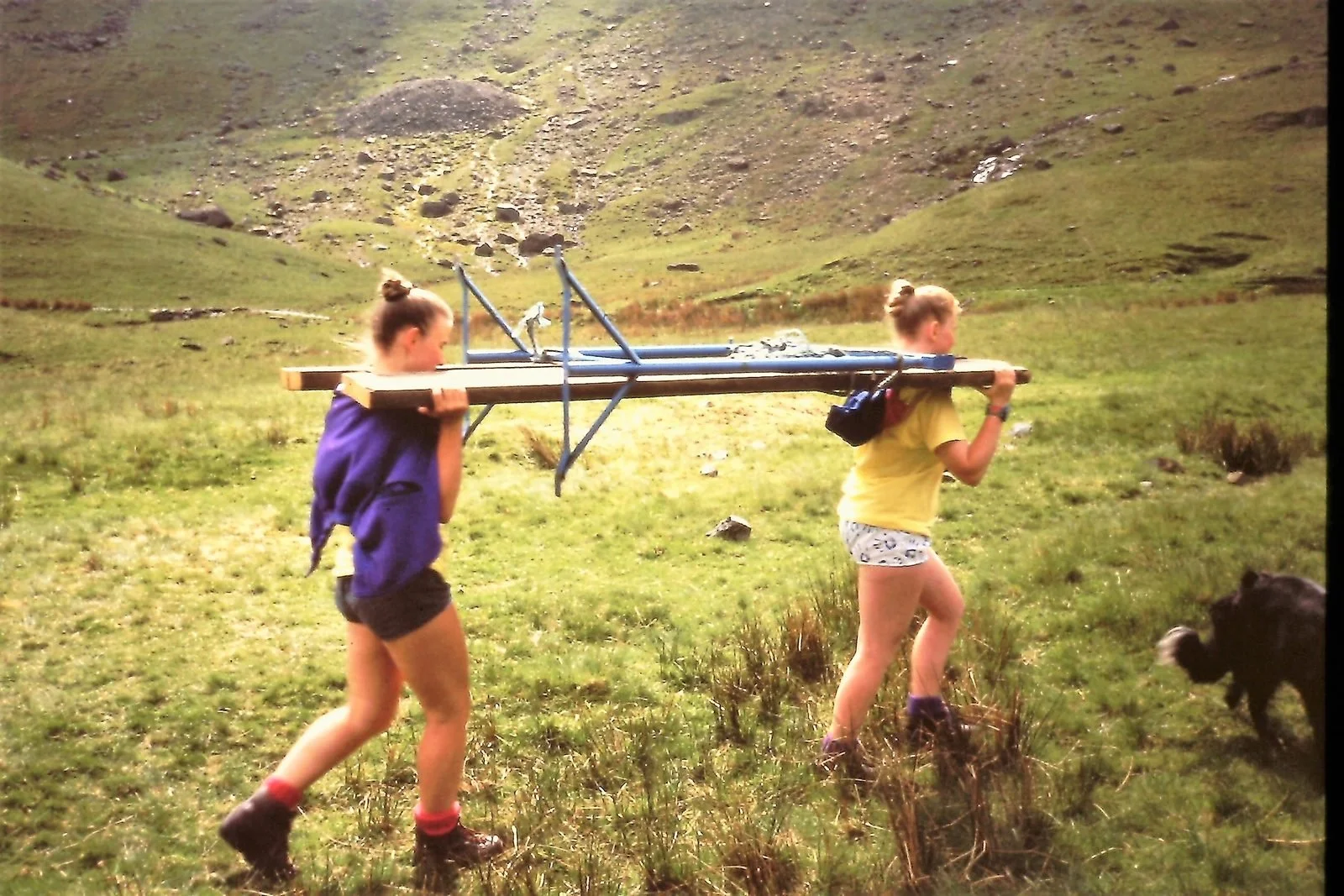 Two girls hiking in a grassy, mountainous area, carrying large trekking poles across their shoulders, with a small black dog nearby.
