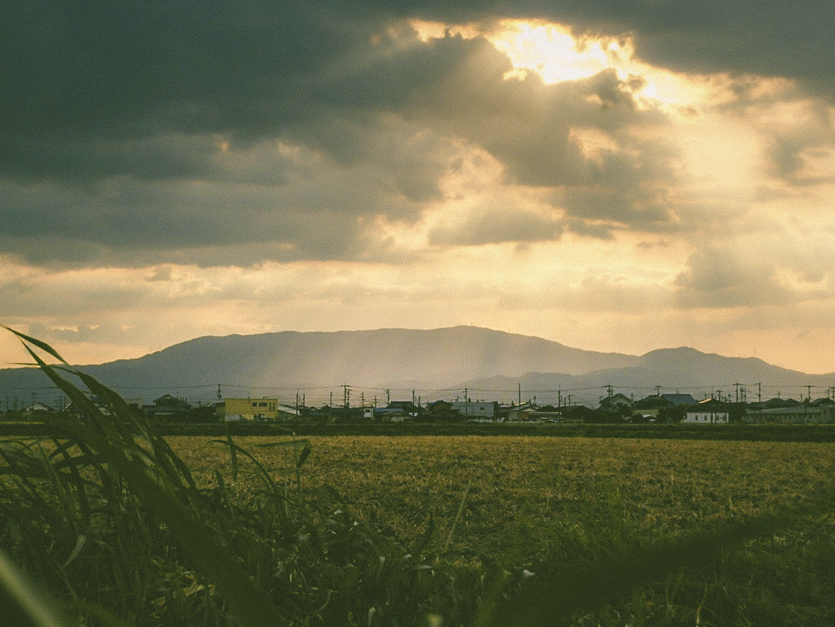 Quiet Countryside, Quiet Light