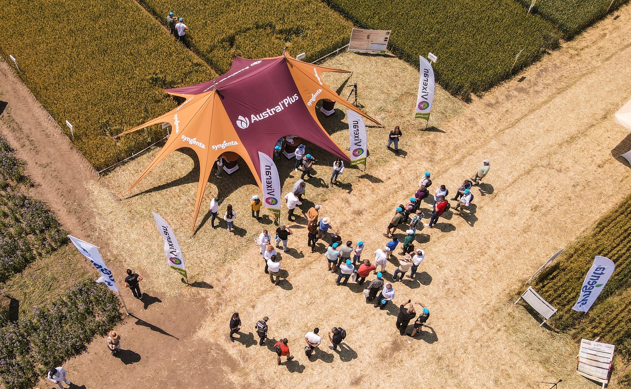 A crowd of people gathered under a large maroon and orange tent at an outdoor agricultural event, with banners displaying logos for Syngenta, Australian Plus, and Nexgel.