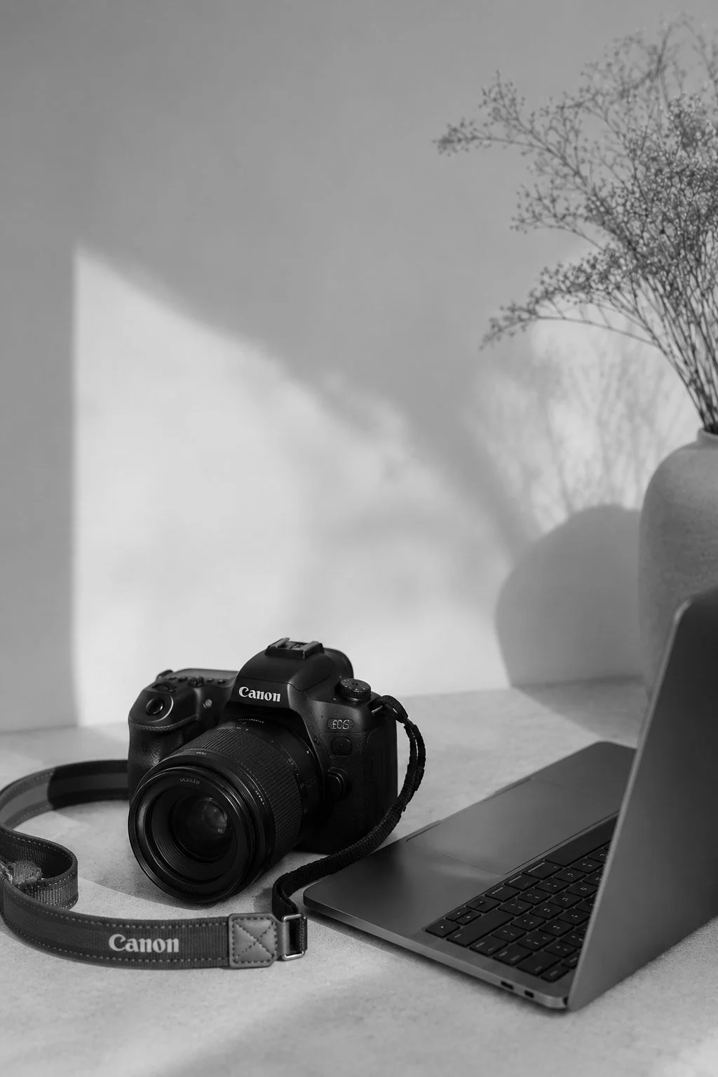 Black Canon EOS camera with lens and strap, gray laptop, and a white vase with dried flowers on a light-colored surface, with light and shadow on the wall behind.