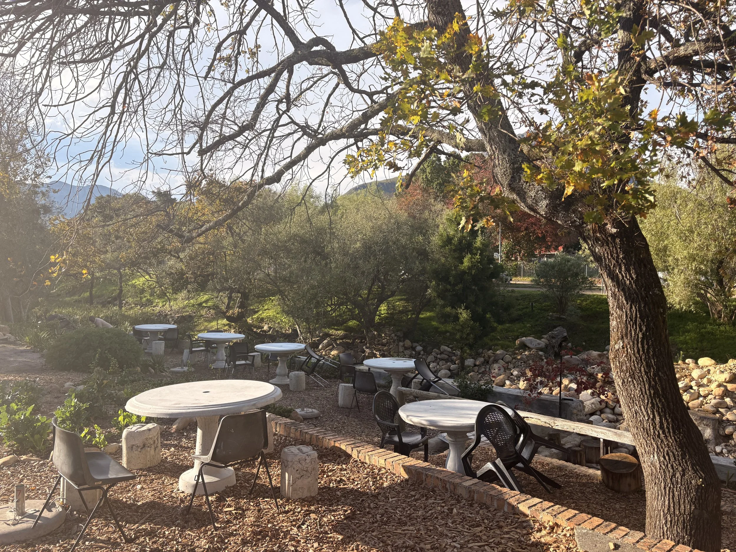 An outdoor patio area with round tables and chairs, surrounded by trees and bushes, some with autumn-colored leaves, in a park or garden setting.