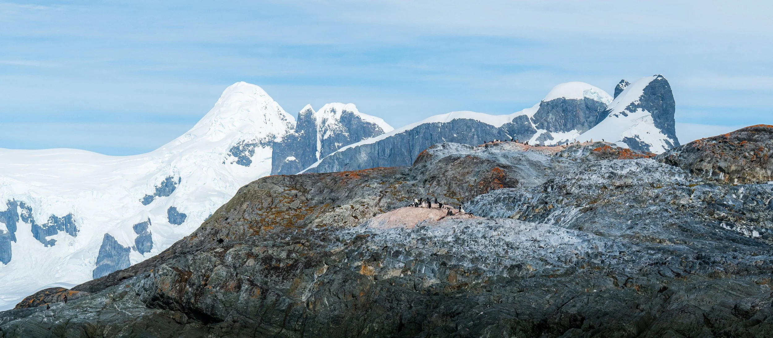 Snow-covered mountains with rocky foreground and a group of penguins resting on rocks.