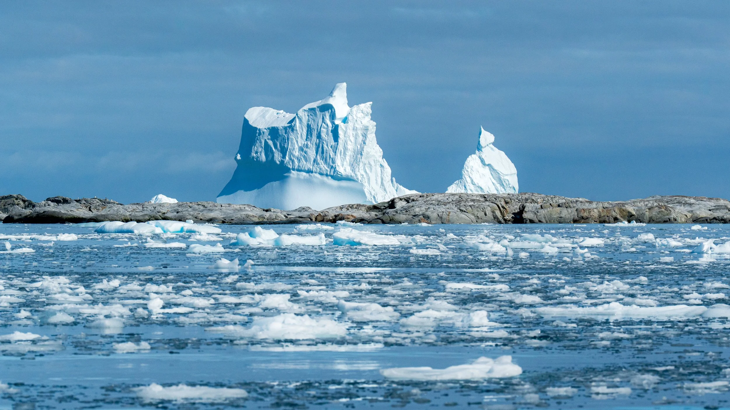 Large icebergs floating in icy water near a rocky shoreline, with a cloudy sky in the background.