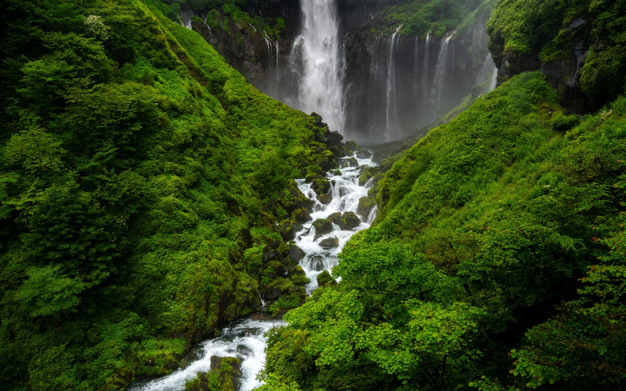 A lush green valley with a waterfall cascading down a cliff surrounded by dense forest.