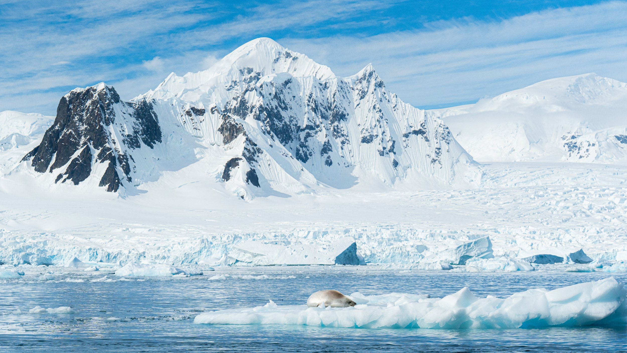Snow-covered mountains and icebergs in a cold, Arctic landscape with a seal resting on the ice.