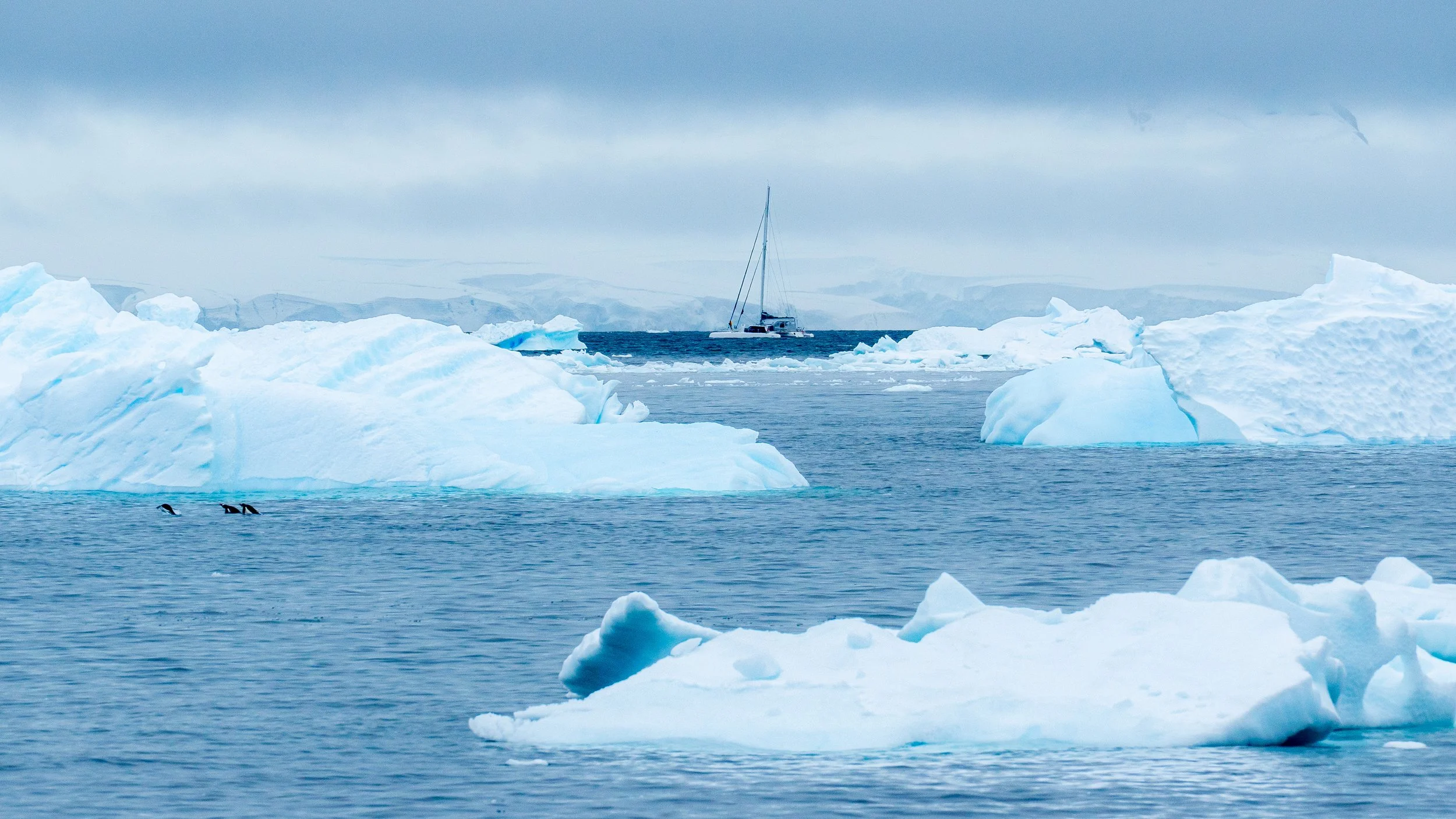 A sailboat navigating icy waters with large icebergs and ice floes, two penguins swimming in the foreground, and a partly cloudy sky overhead.