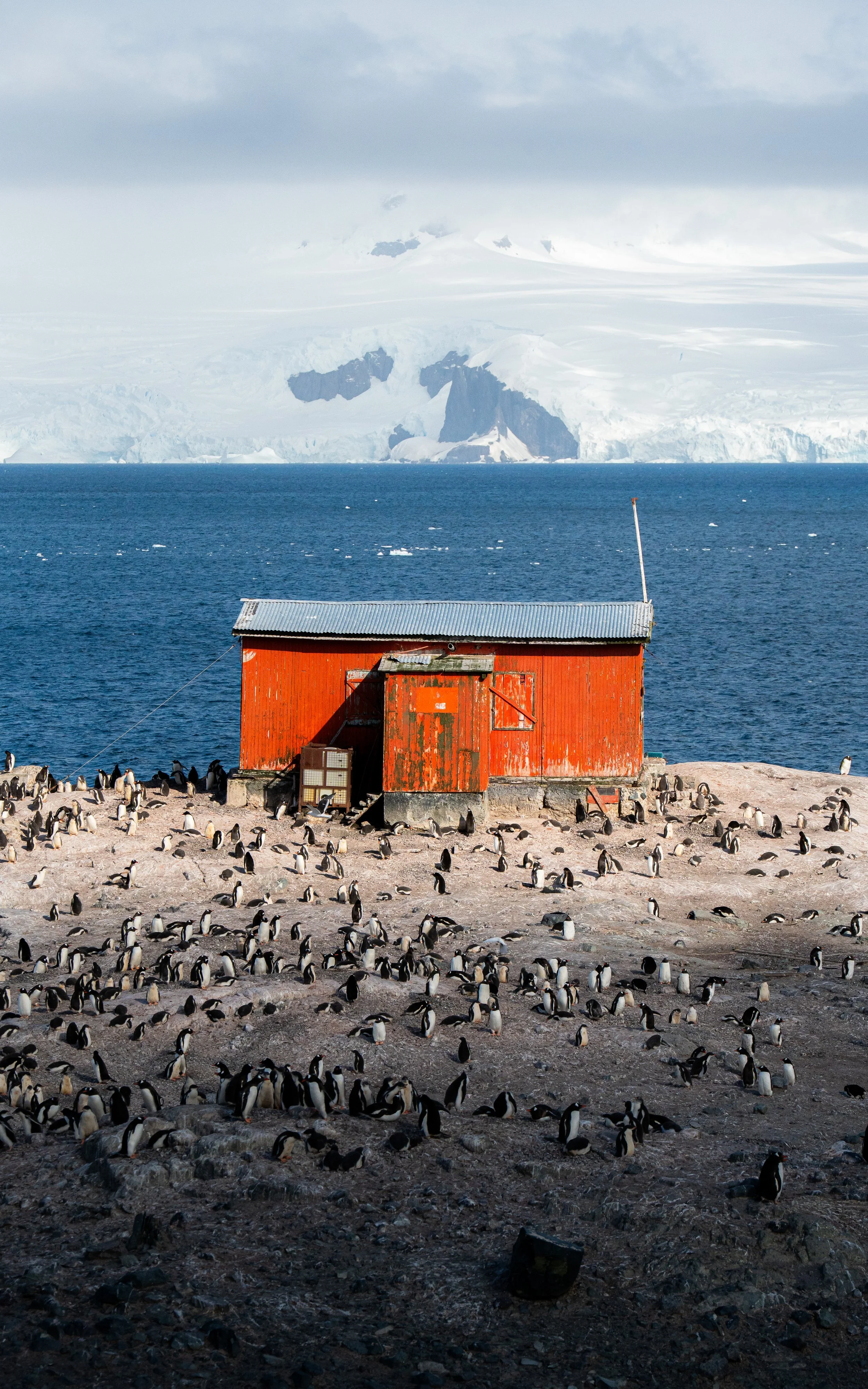 A red wooden building on rocky ground near a large body of water, with numerous penguins scattered around. In the background, icy mountains and ice sheets are visible under cloudy skies.