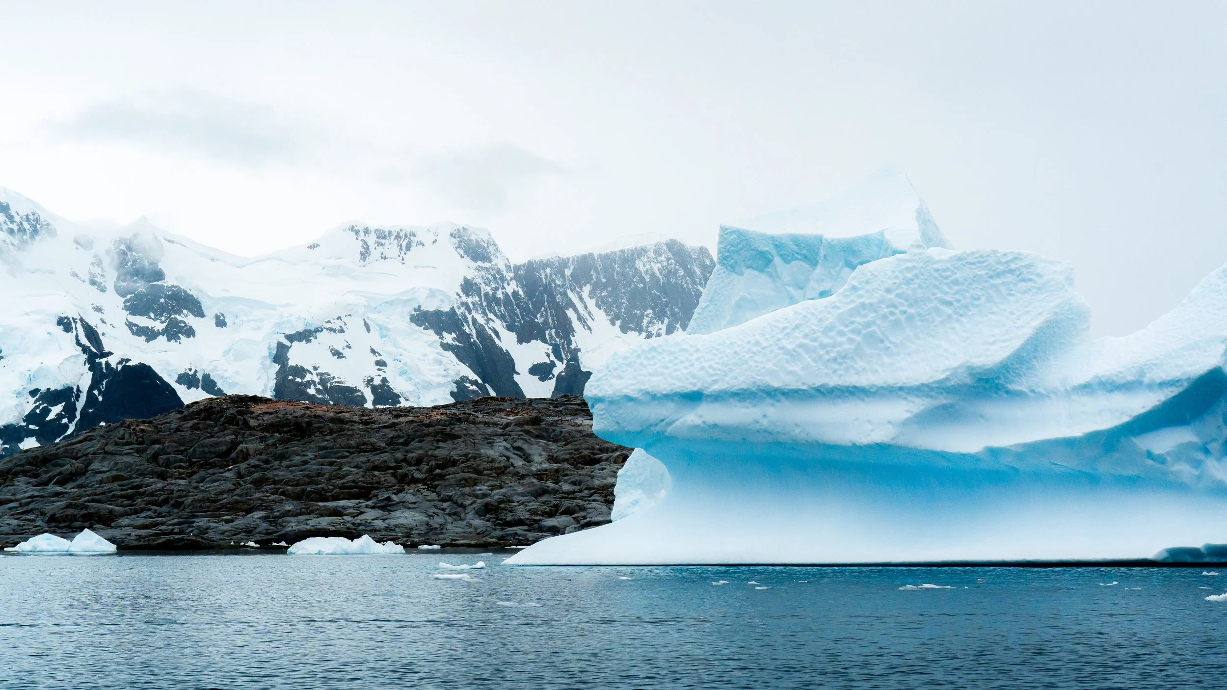 A large iceberg floating in icy water with snow-covered mountains in the background.
