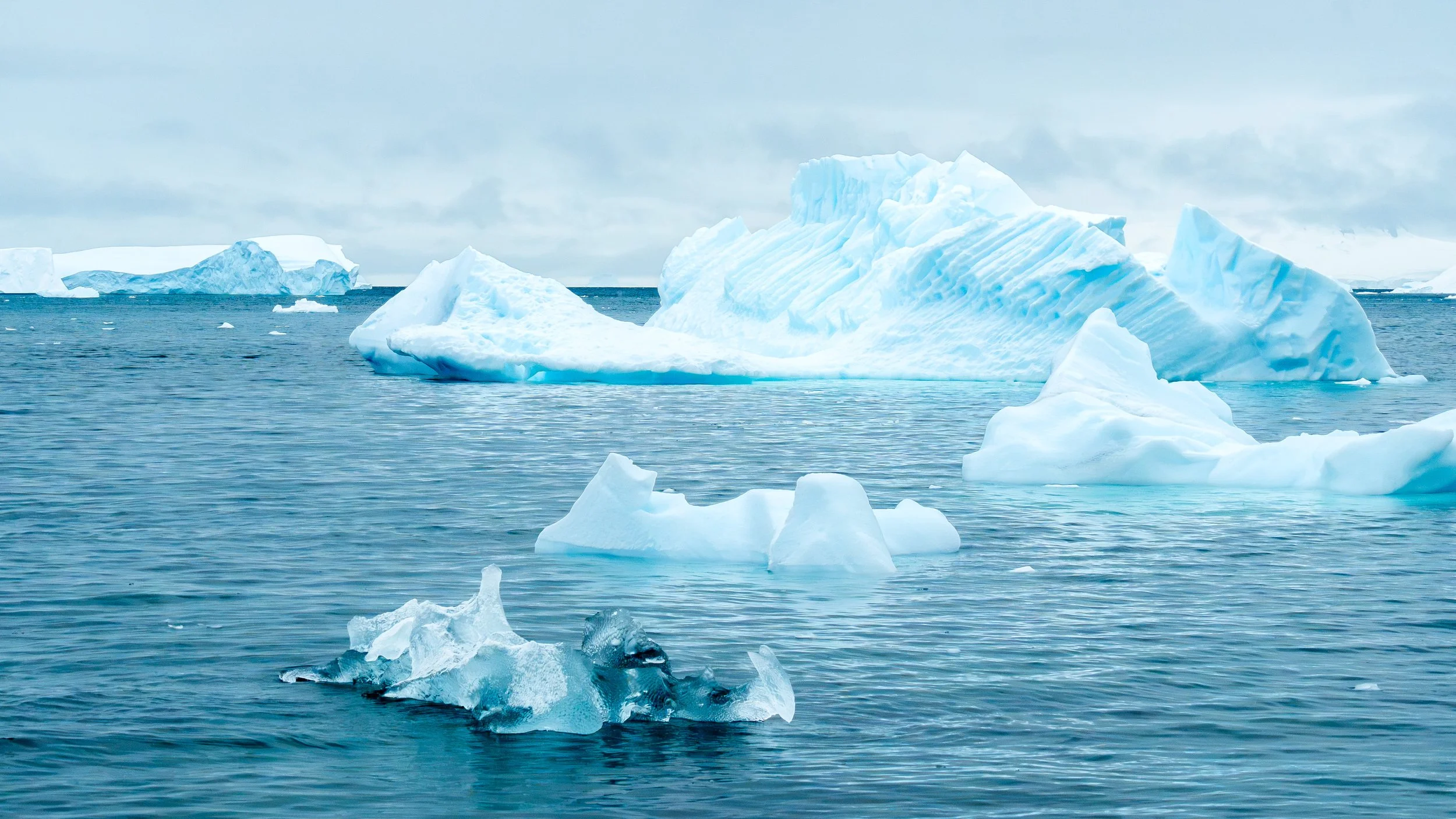 A seascape with icebergs floating in the cold ocean under a cloudy sky.