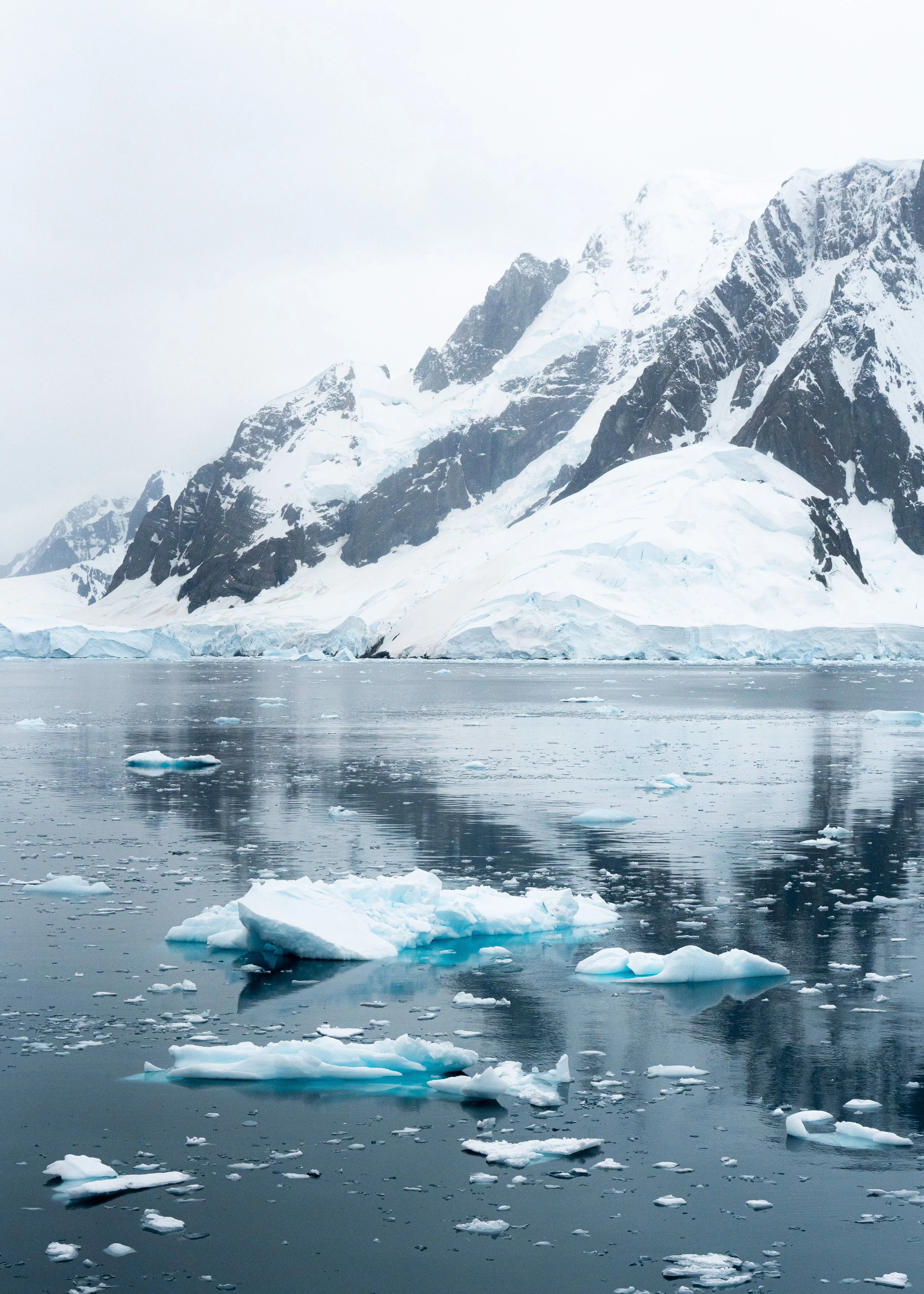 Snow-covered mountains with glaciers and floating icebergs in a calm body of water.