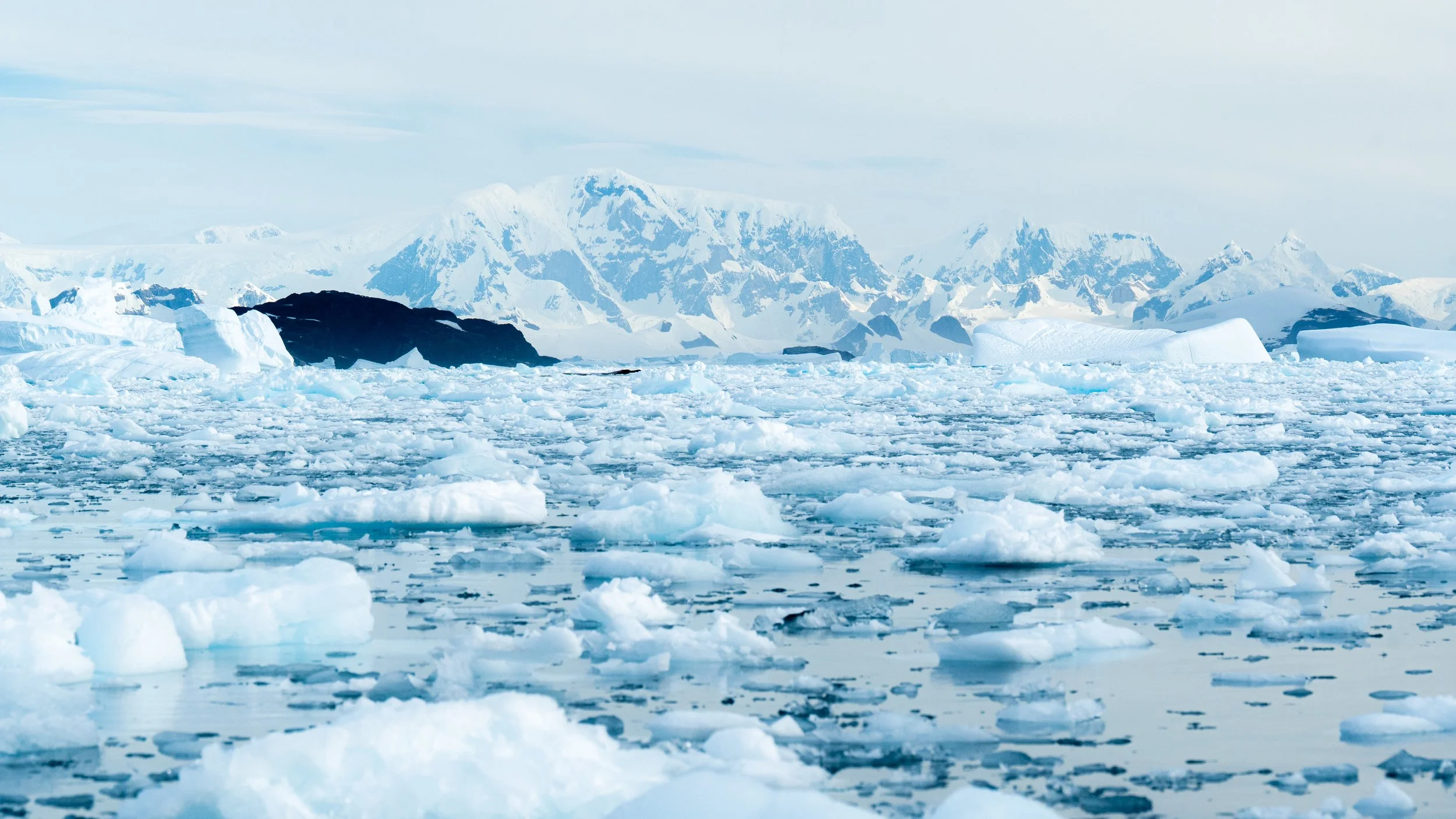 A vast icy landscape featuring floating ice chunks on the ocean, with snow-covered mountains and glaciers in the background under a cloudy sky.