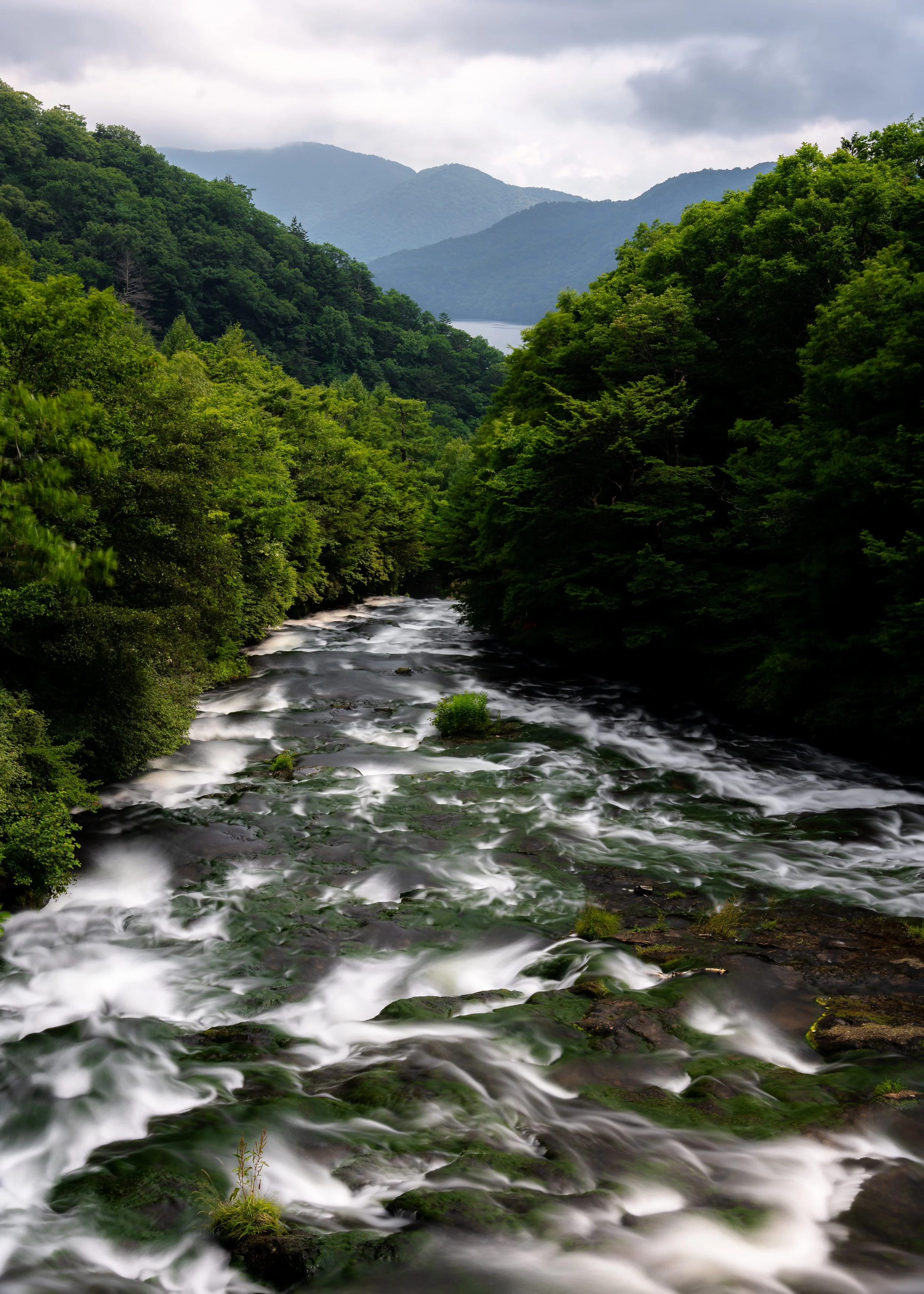 A scenic view of a flowing river surrounded by lush green trees and mountains in the distance, under cloudy sky.