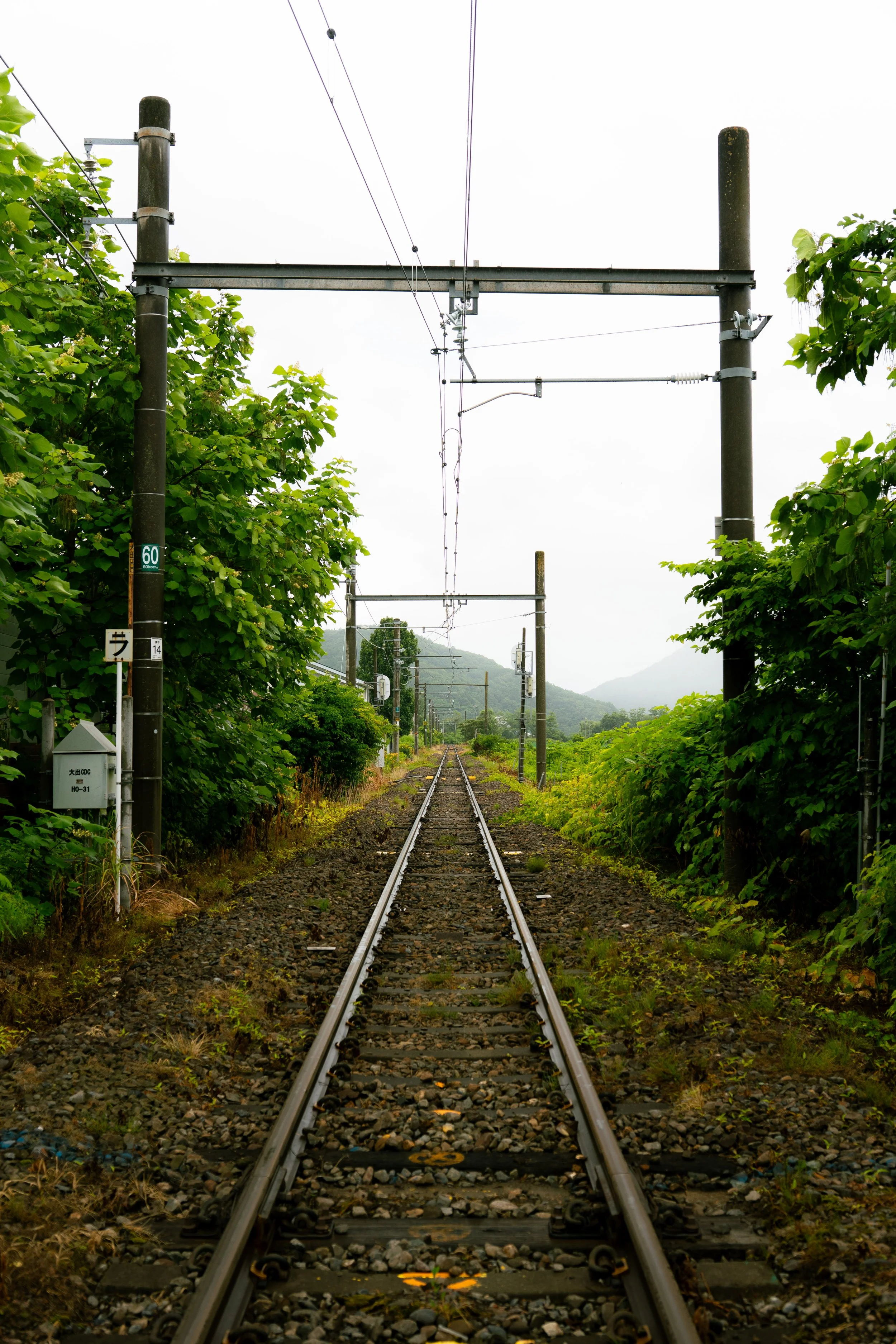 A straight section of railroad tracks surrounded by green bushes and trees on both sides, with overcast sky and distant mountains visible in the background.
