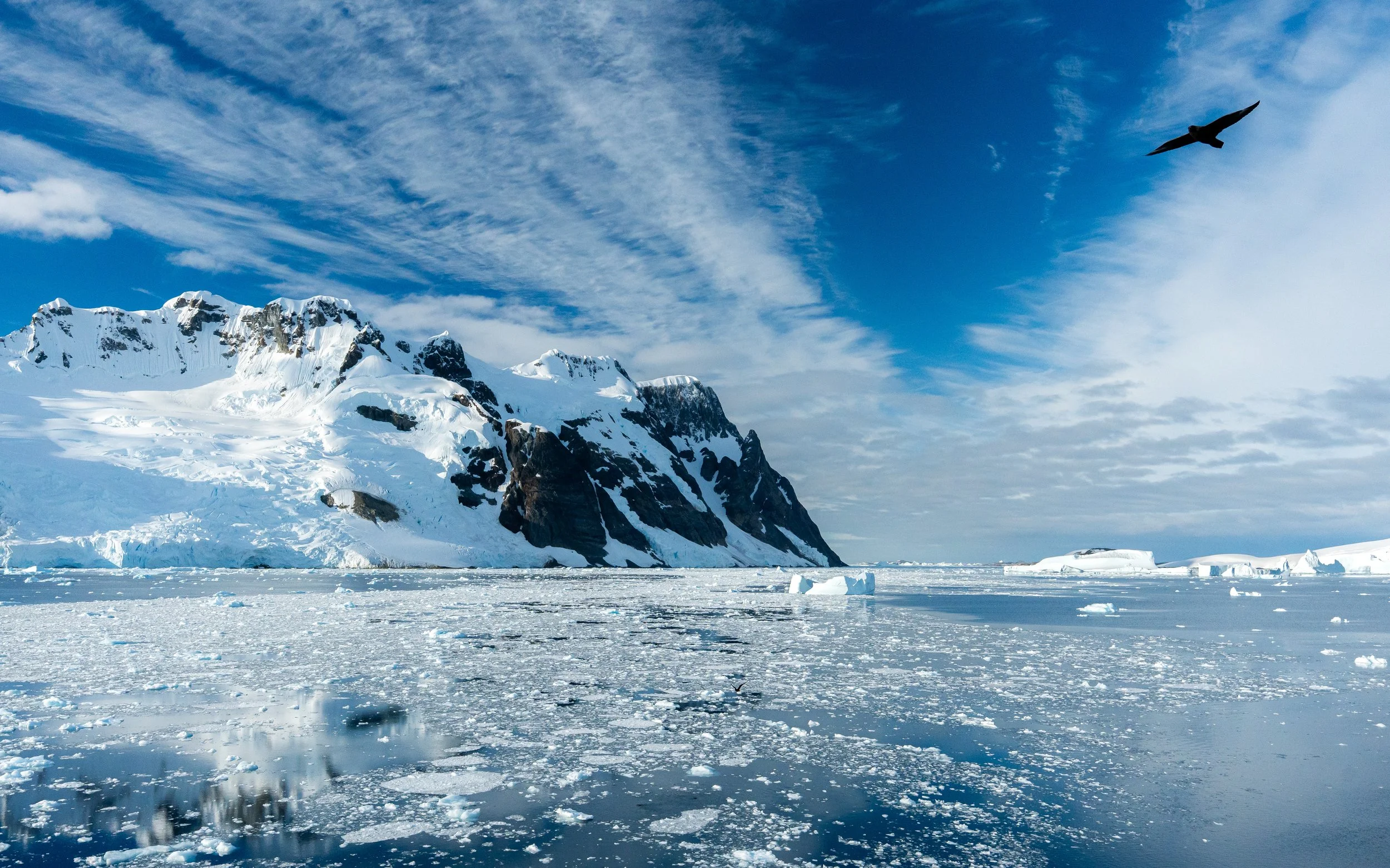 Snow-covered mountains with a blue sky and wispy clouds, a bird flying above, and floating ice in the icy ocean.
