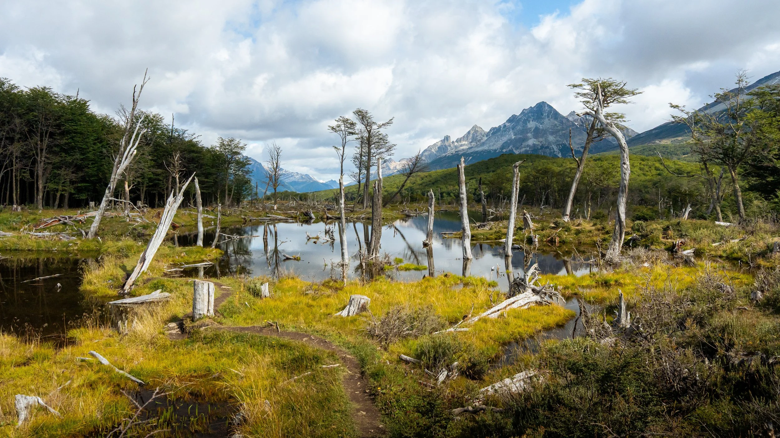 A mountain landscape with snow-capped peaks, a cloudy sky, and a body of water surrounded by trees, some of which are dead or leafless.