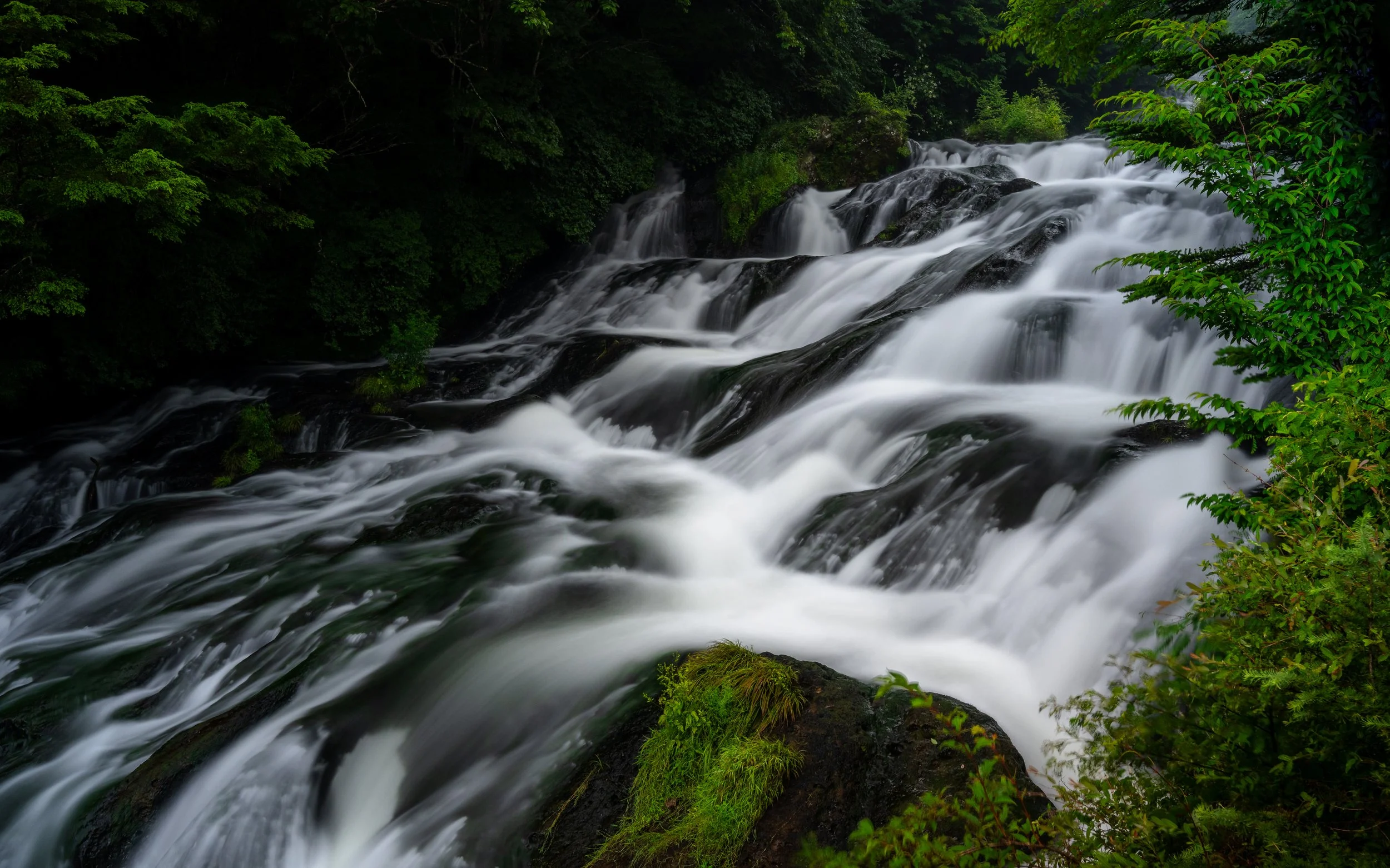 A waterfall cascading over rocks surrounded by green trees and foliage in a forest.