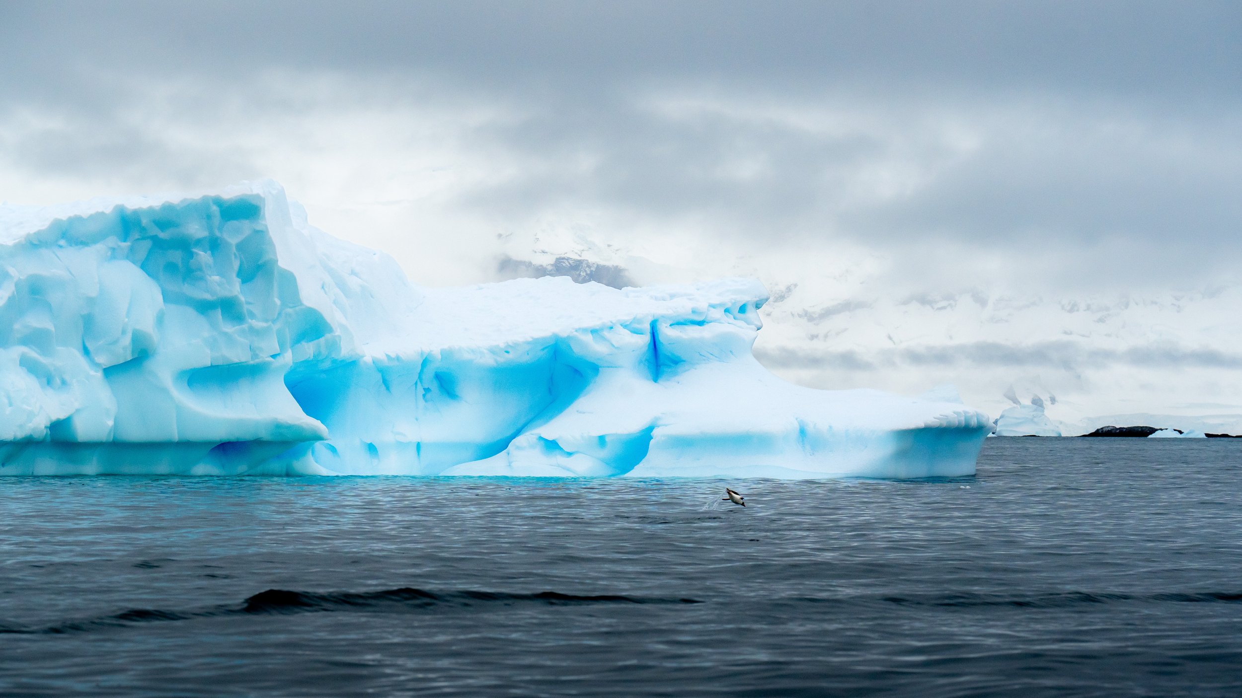 Large blue iceberg floating in cold ocean water under cloudy sky with a small bird flying near the water surface.