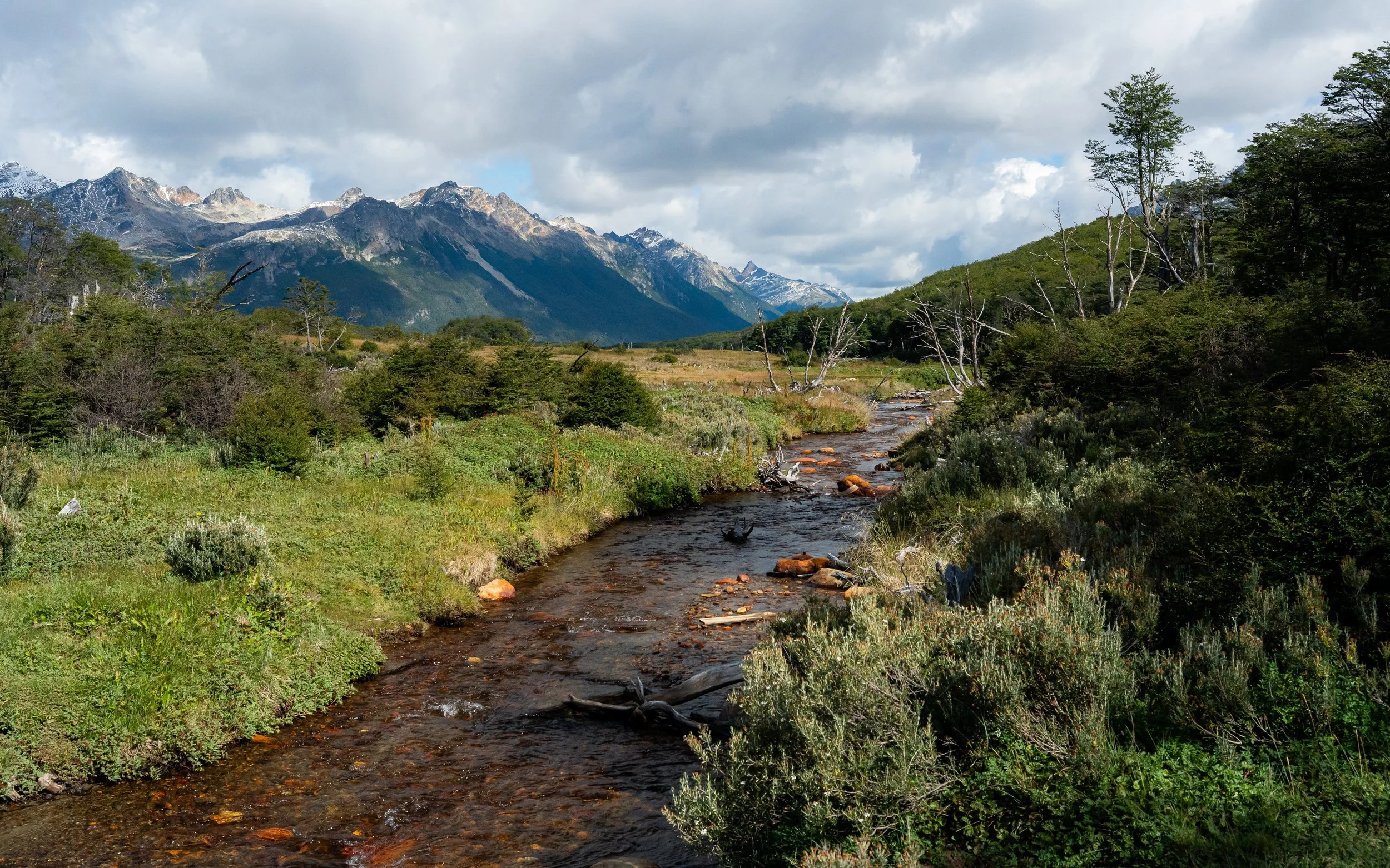 Mountains with snowy peaks, a cloudy sky, greenery, and a small stream flowing through a grassy area.