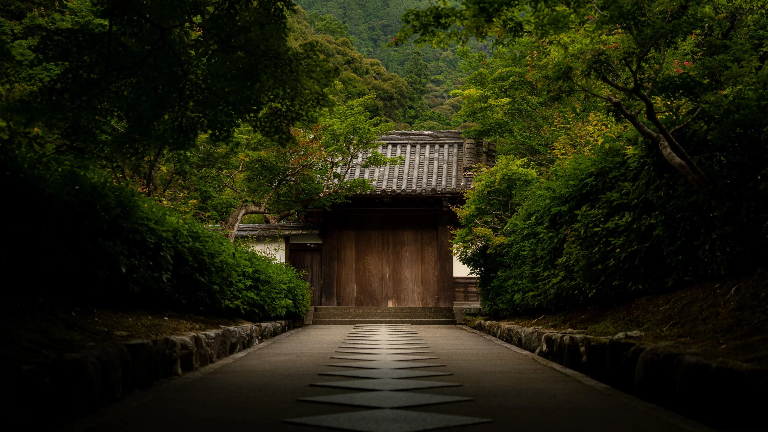 A traditional Japanese wooden gate at the end of a stone-paved pathway, surrounded by lush green trees and dense forest, with a mountain in the background.