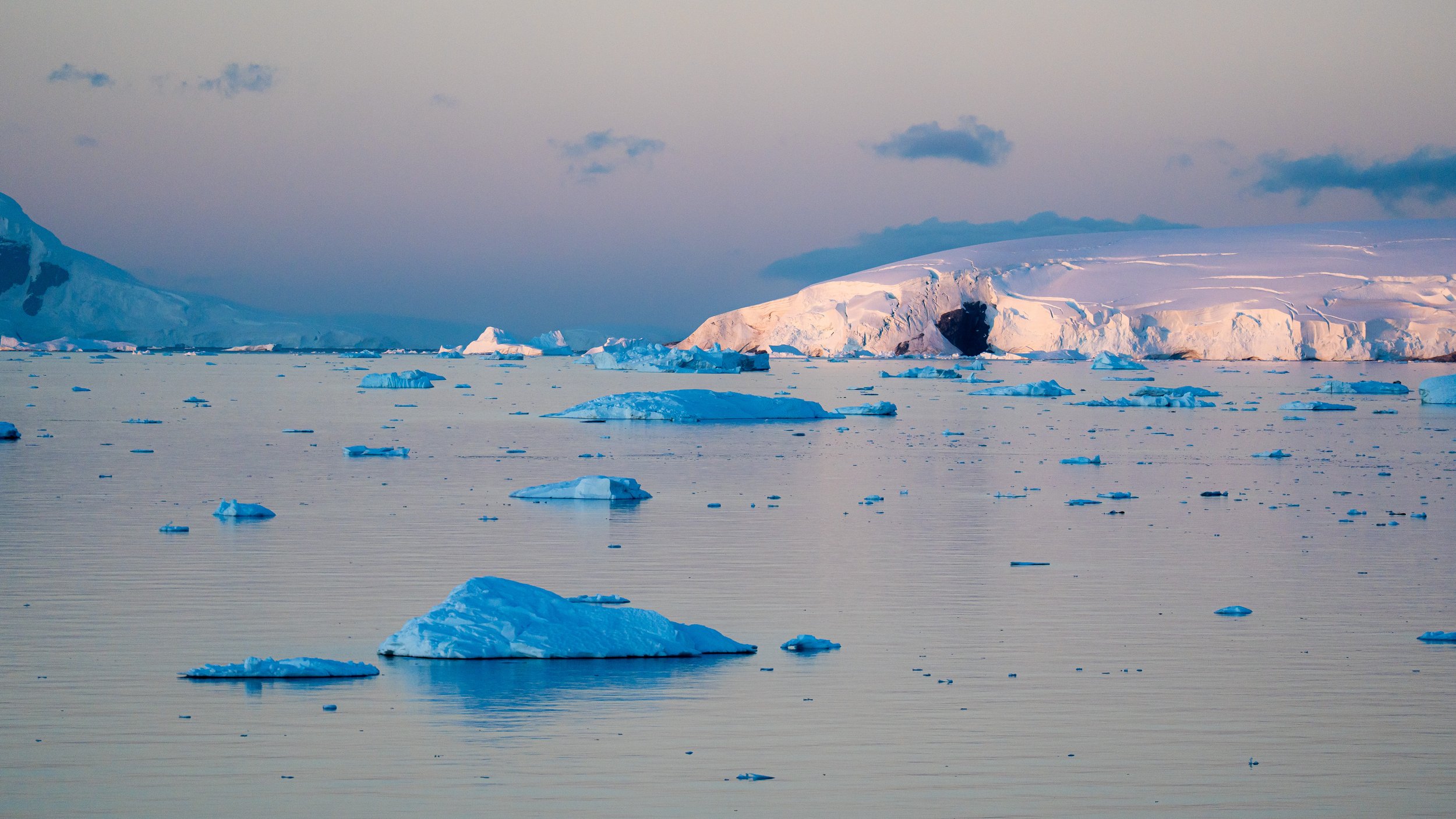 A snowy landscape with icebergs floating on calm water and a large snow-covered landmass in the background under a cloudy sky.