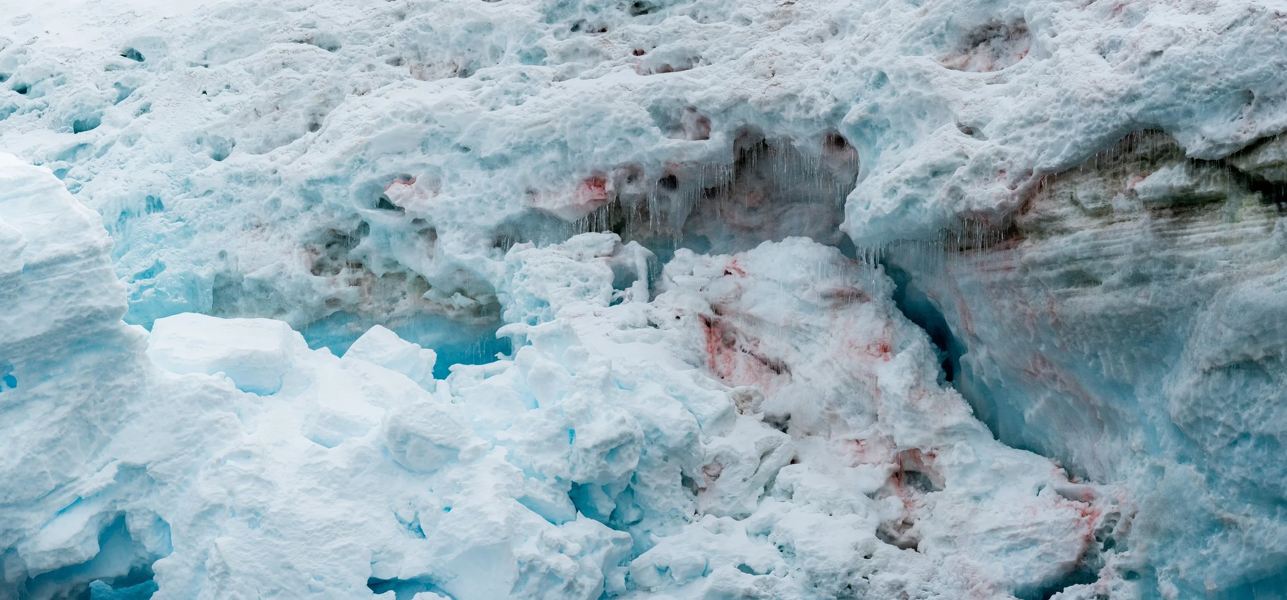 Ice and snow with some bloodstains, part of a glacier or ice formation.